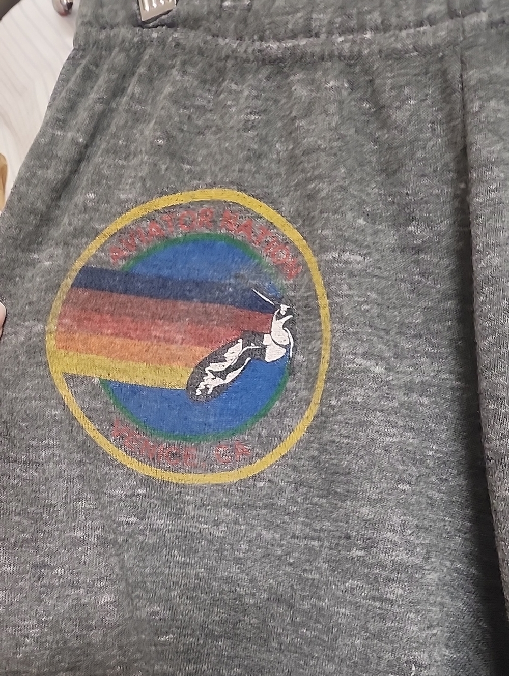 Aviator Nation Gray Joggers with Rainbow Stripe Label - Picture 4 of 5